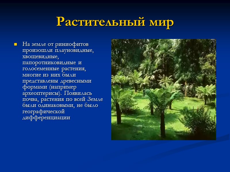 Растительный мир На земле от риниофитов произошли плауновидные, хвощевидные, папоротниковидные и голосеменные растения, многие